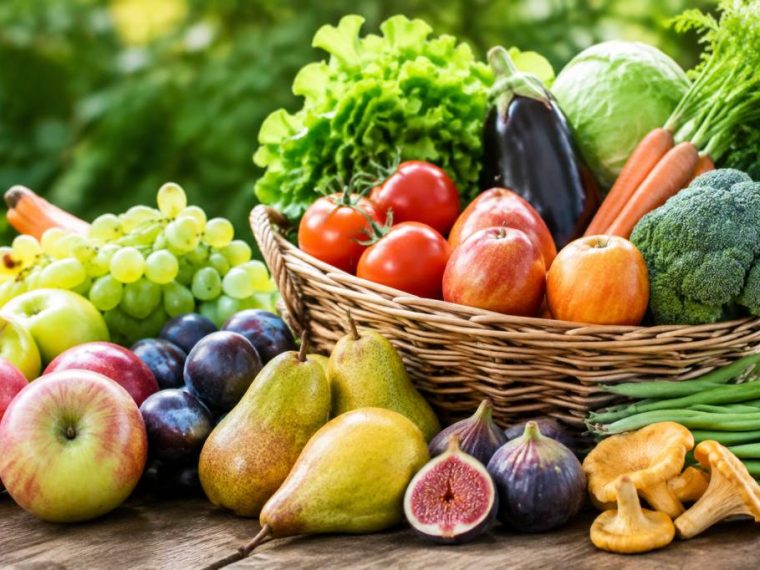 Fruits et legume septembre : les meilleurs produits de saison à consommer