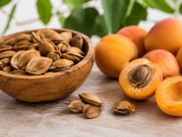 Que faire avec des noyaux d'abricot : astuces écologiques et idées créatives