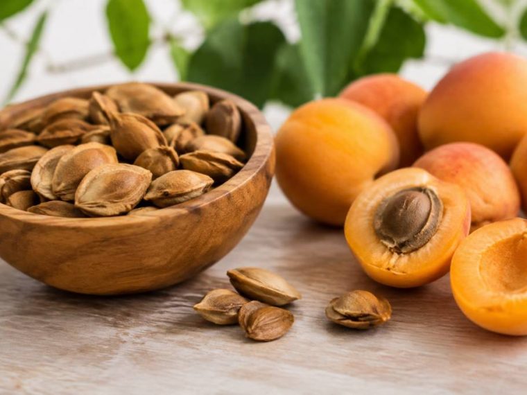 Que faire avec des noyaux d'abricot : astuces écologiques et idées créatives